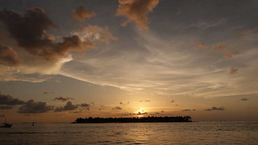 MIA_2023-08-11 19-51-01_RX_05907